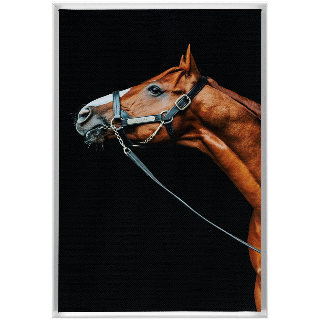 Justify Series 4, Framed Canvas