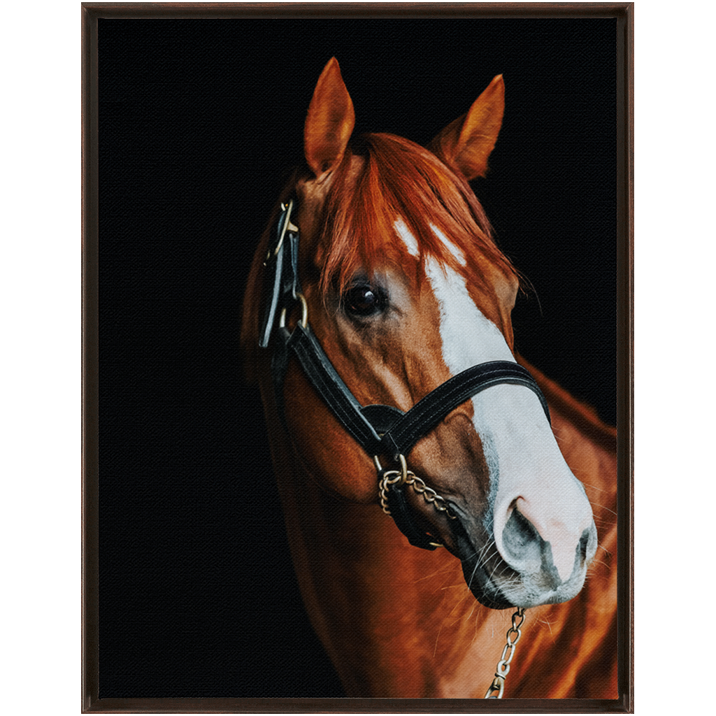 Justify Series 2, Framed Canvas