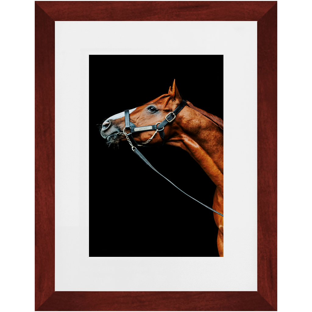 Justify Series 4, Framed Print