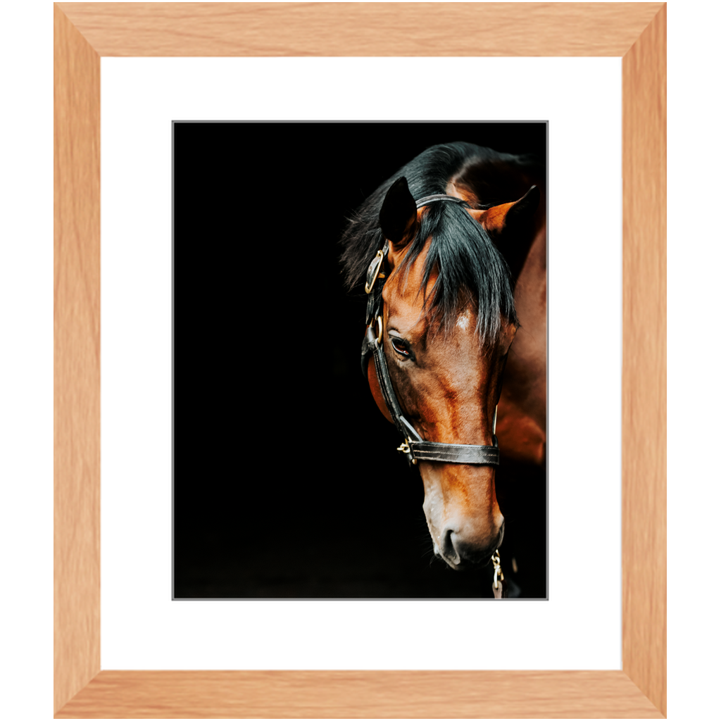 American Pharoah Series 6, Framed Print