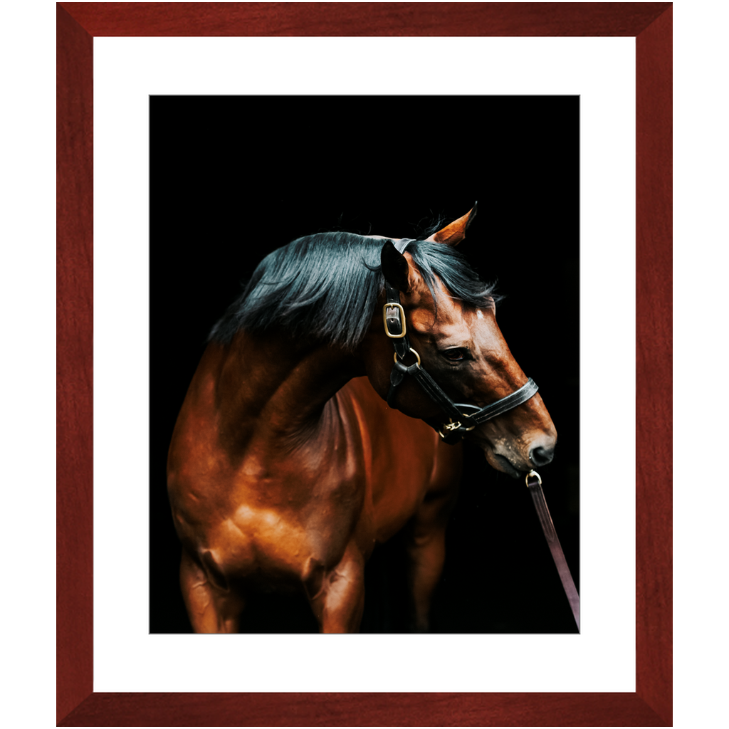 American Pharoah Series 3, Framed Print