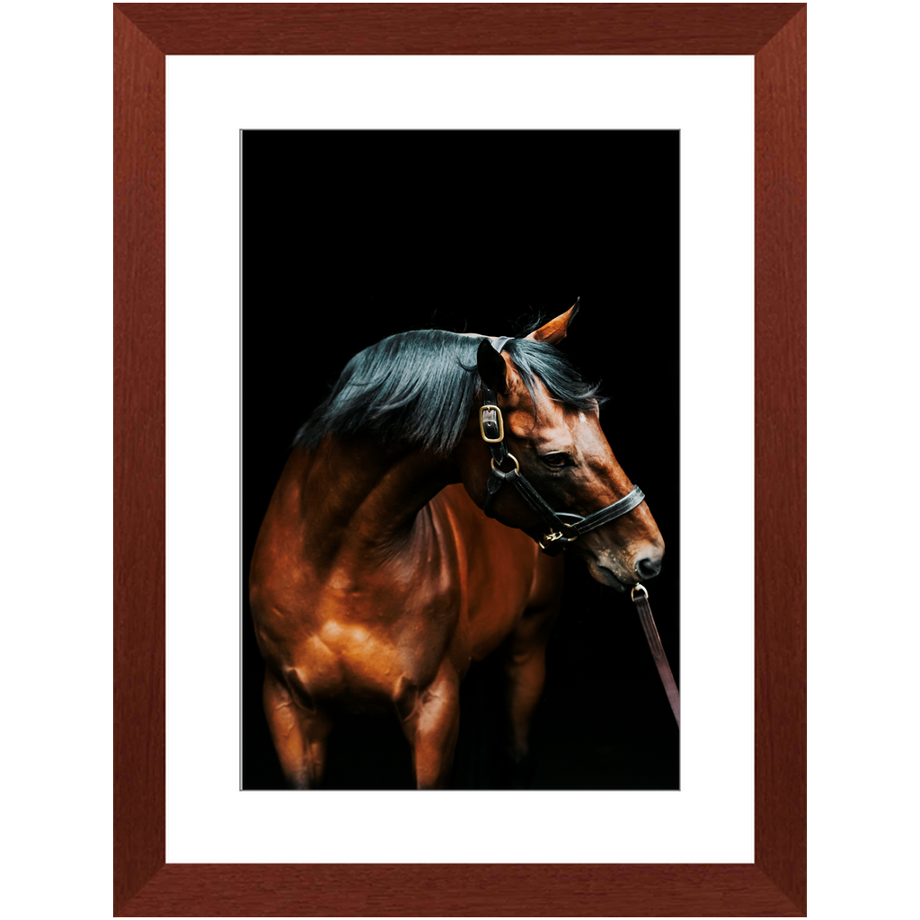 American Pharoah Series 3, Framed Print