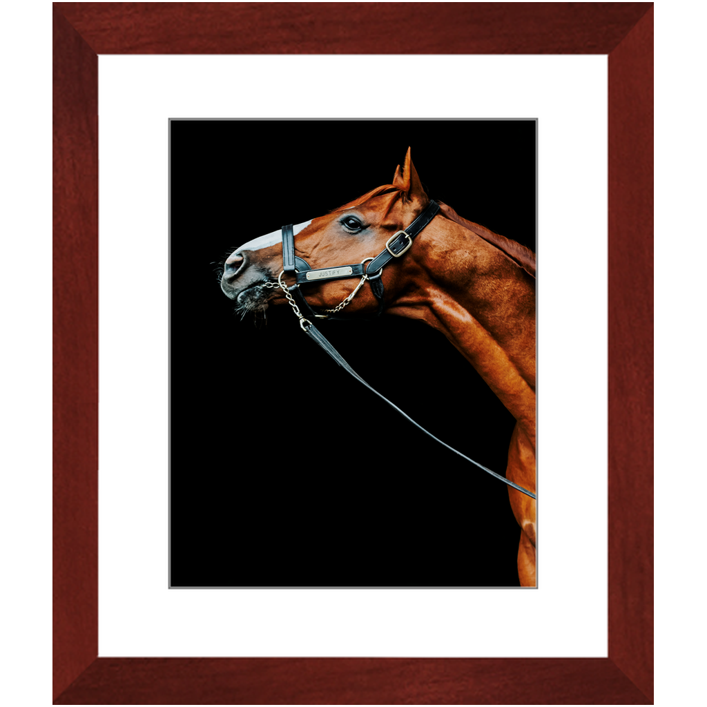 Justify Series 4, Framed Print