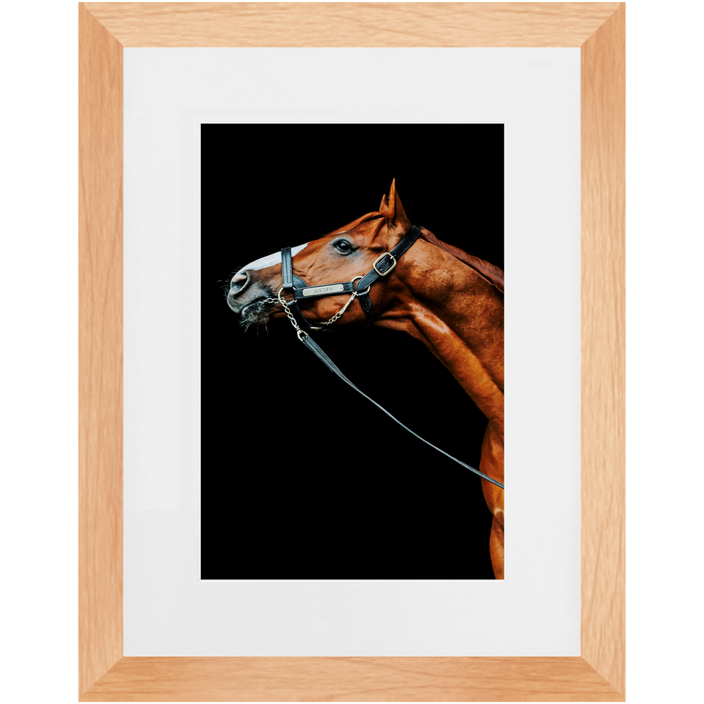 Justify Series 4, Framed Print