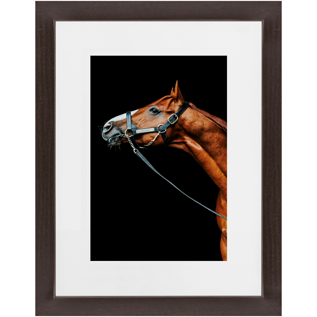 Justify Series 4, Framed Print