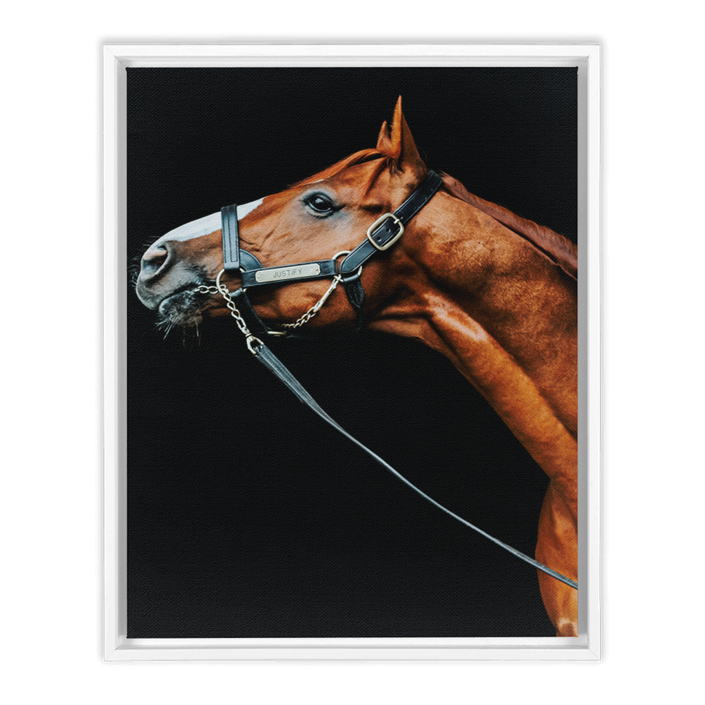 Justify Series 4, Framed Canvas