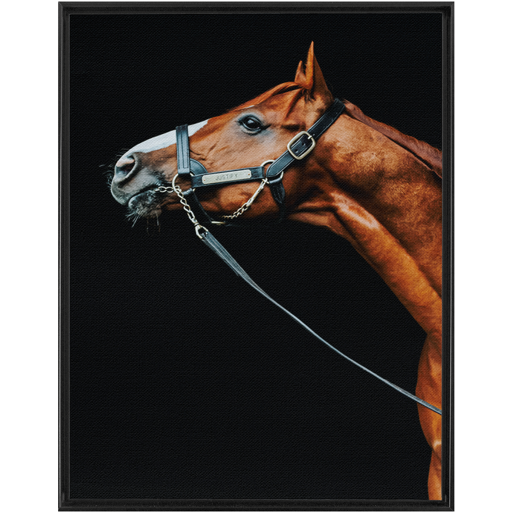 Justify Series 4, Framed Canvas