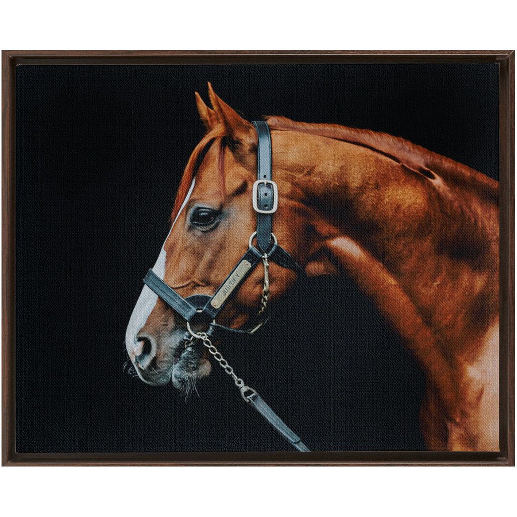 Justify Series 3, Framed Canvas