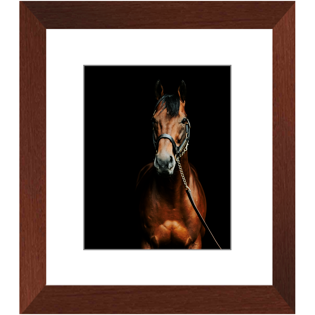 American Pharoah Series 4, Framed Print