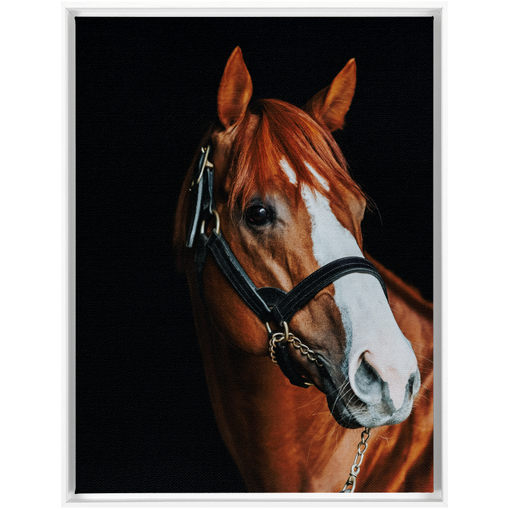 Justify Series 2, Framed Canvas