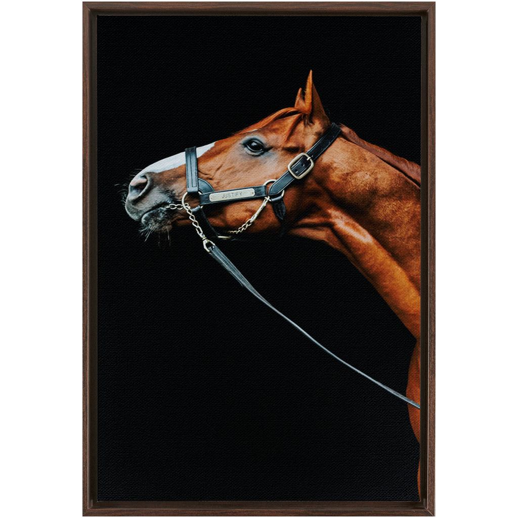 Justify Series 4, Framed Canvas