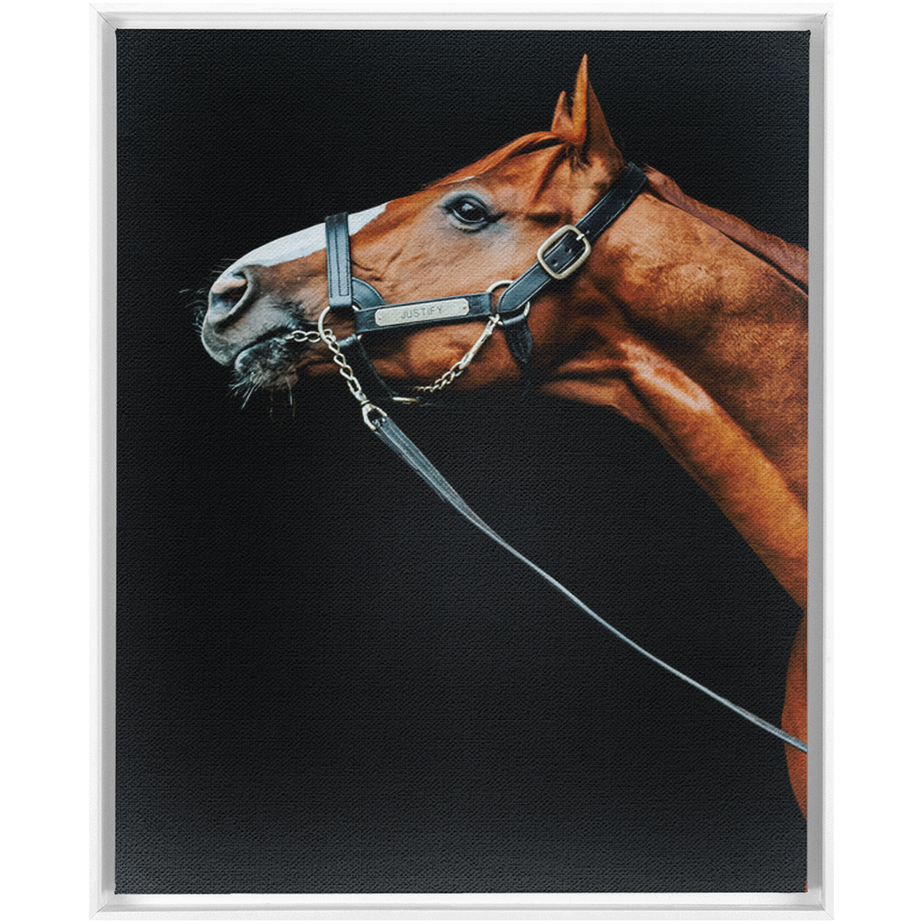 Justify Series 4, Framed Canvas