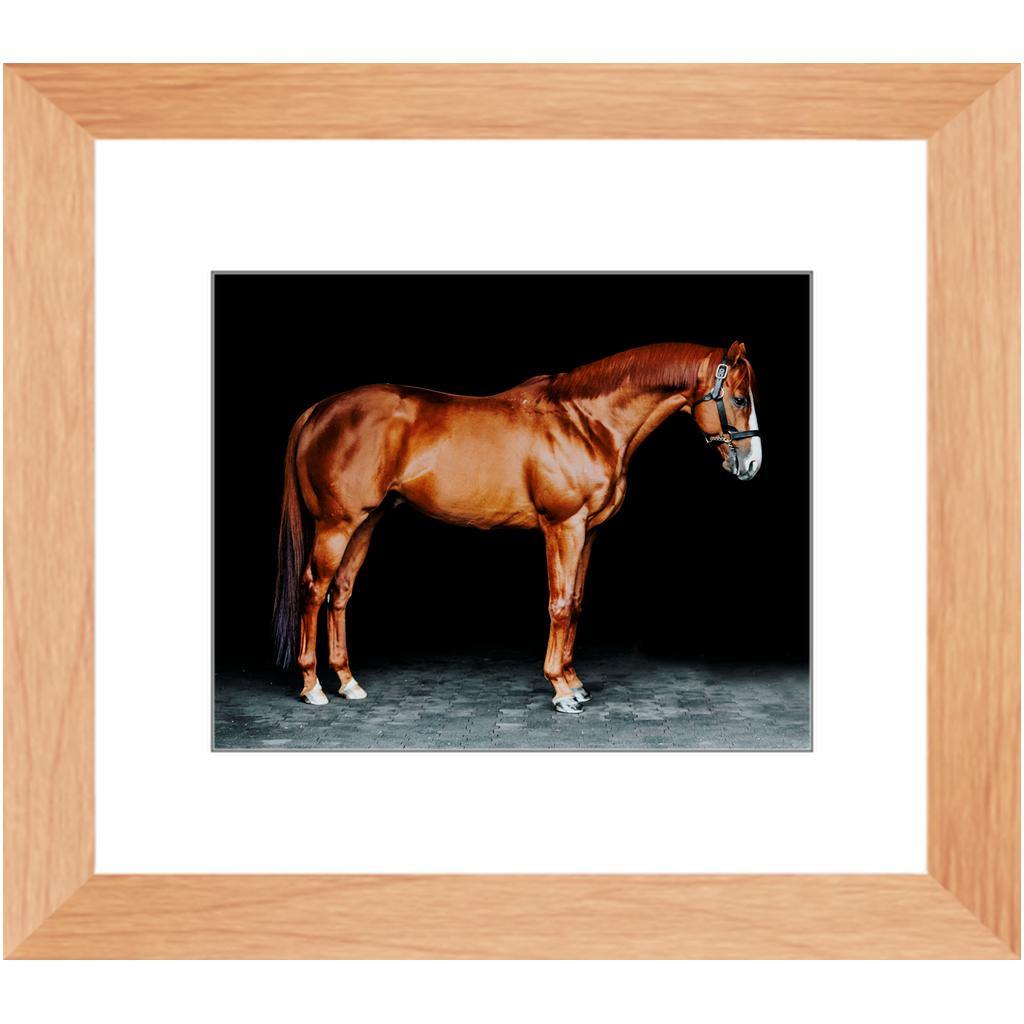 Justify Series 6, Framed Print