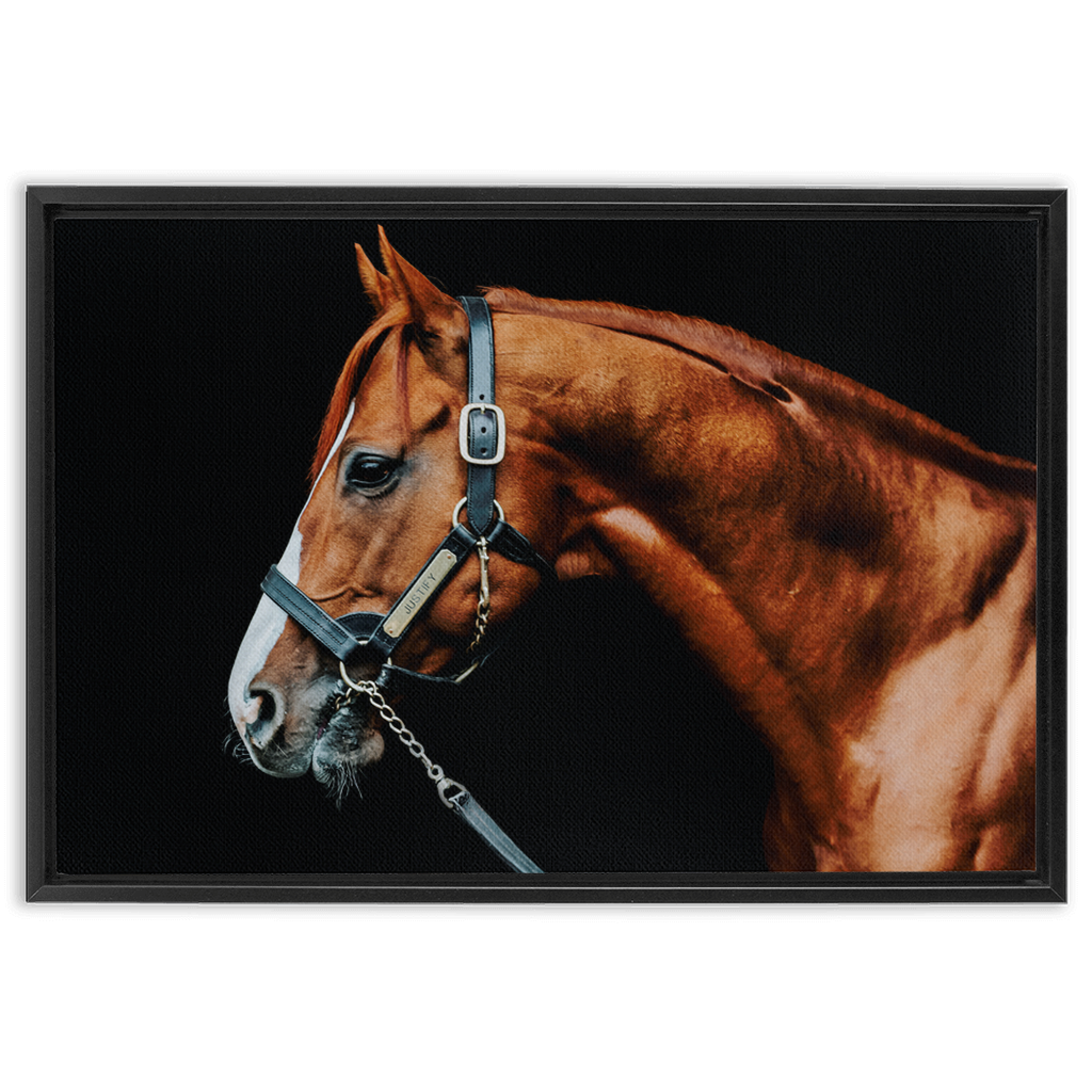 Justify Series 3, Framed Canvas