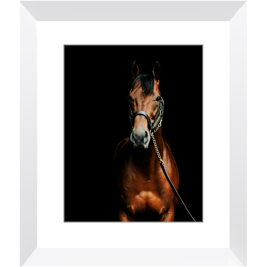 American Pharoah Series 4, Framed Print