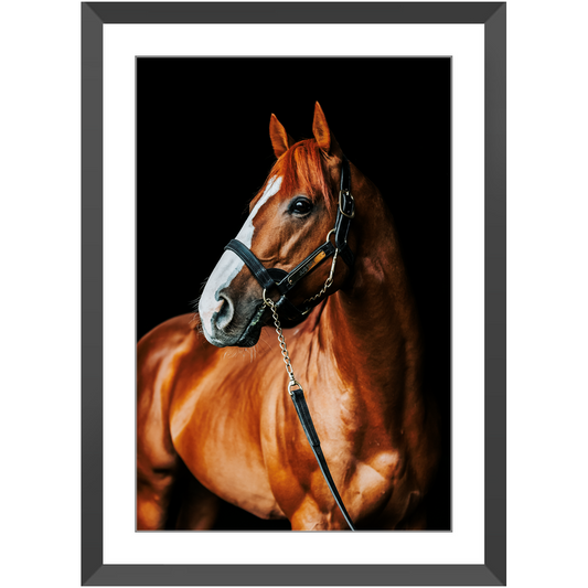 Justify Series 1, Framed Print