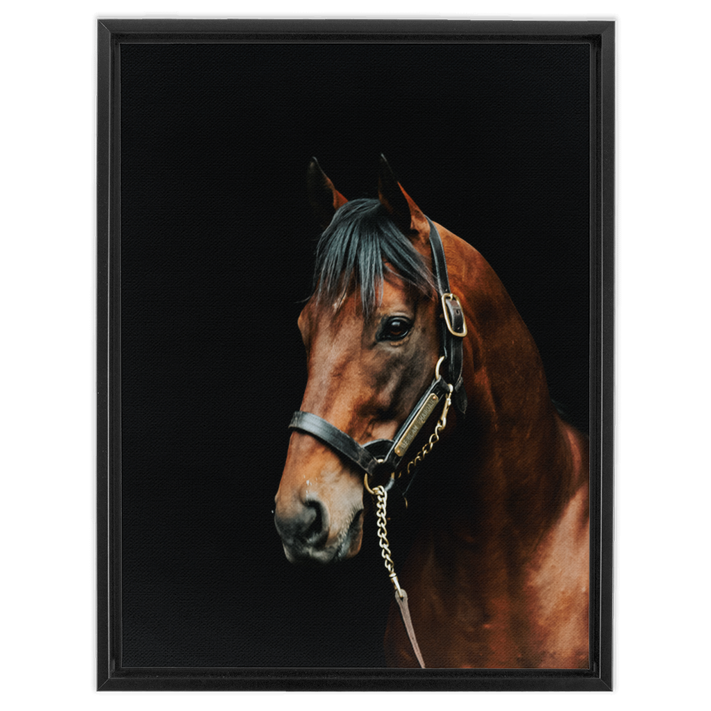 American Pharoah Series 2, Framed Canvas