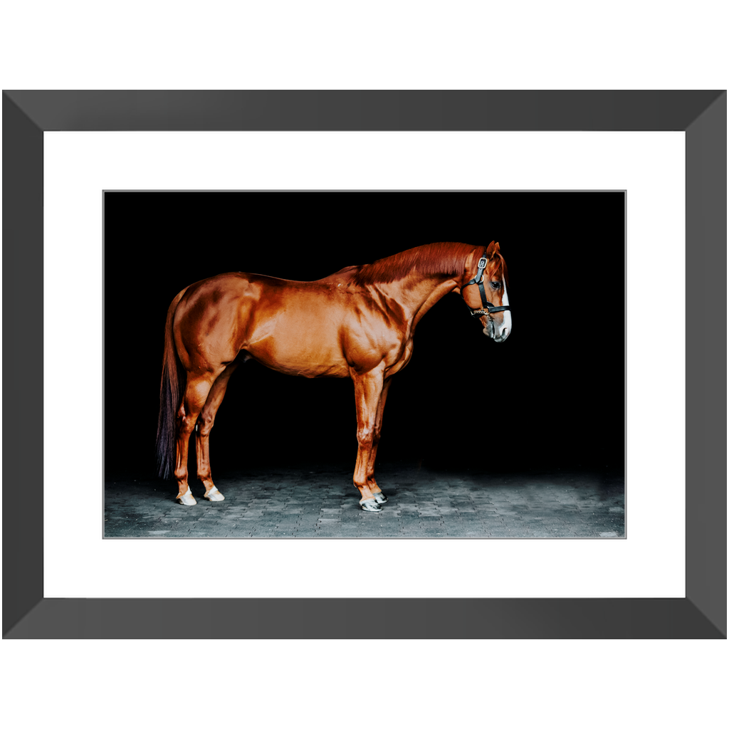 Justify Series 6, Framed Print