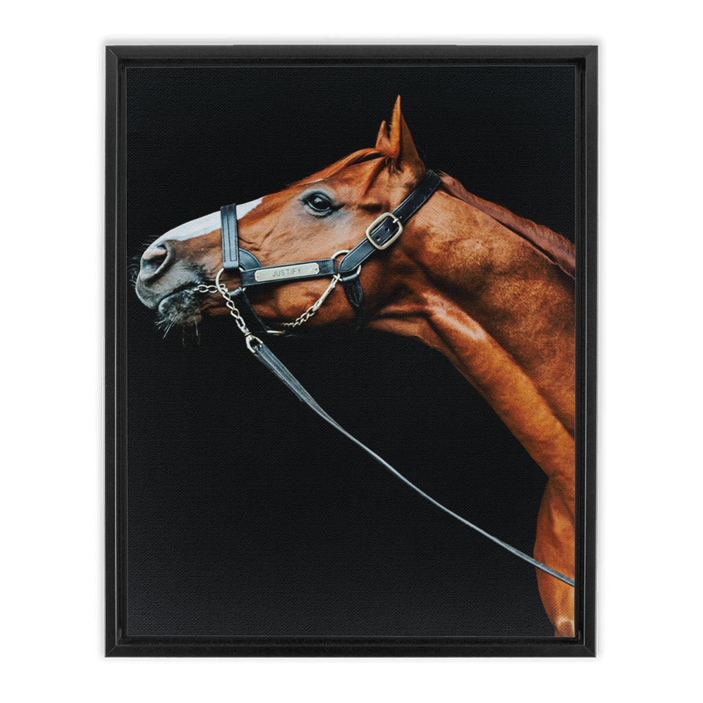 Justify Series 4, Framed Canvas