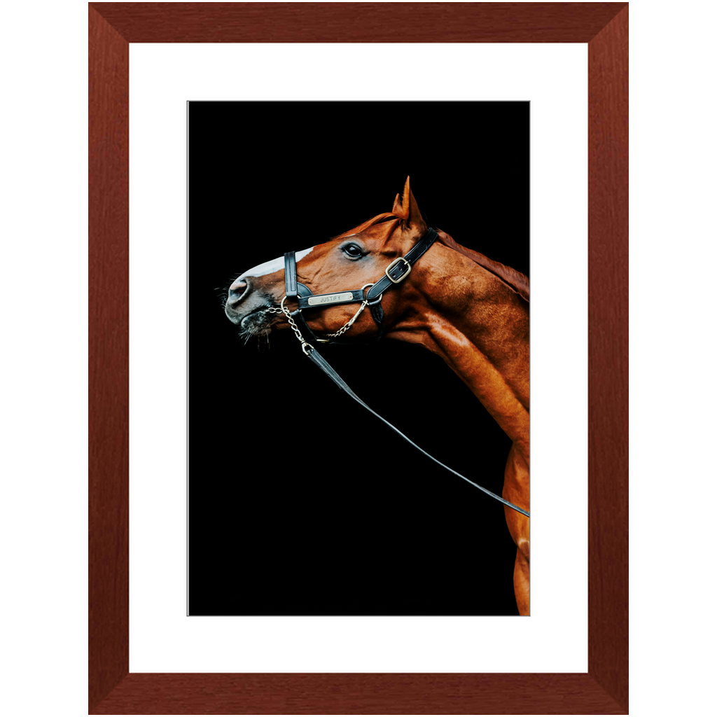 Justify Series 4, Framed Print