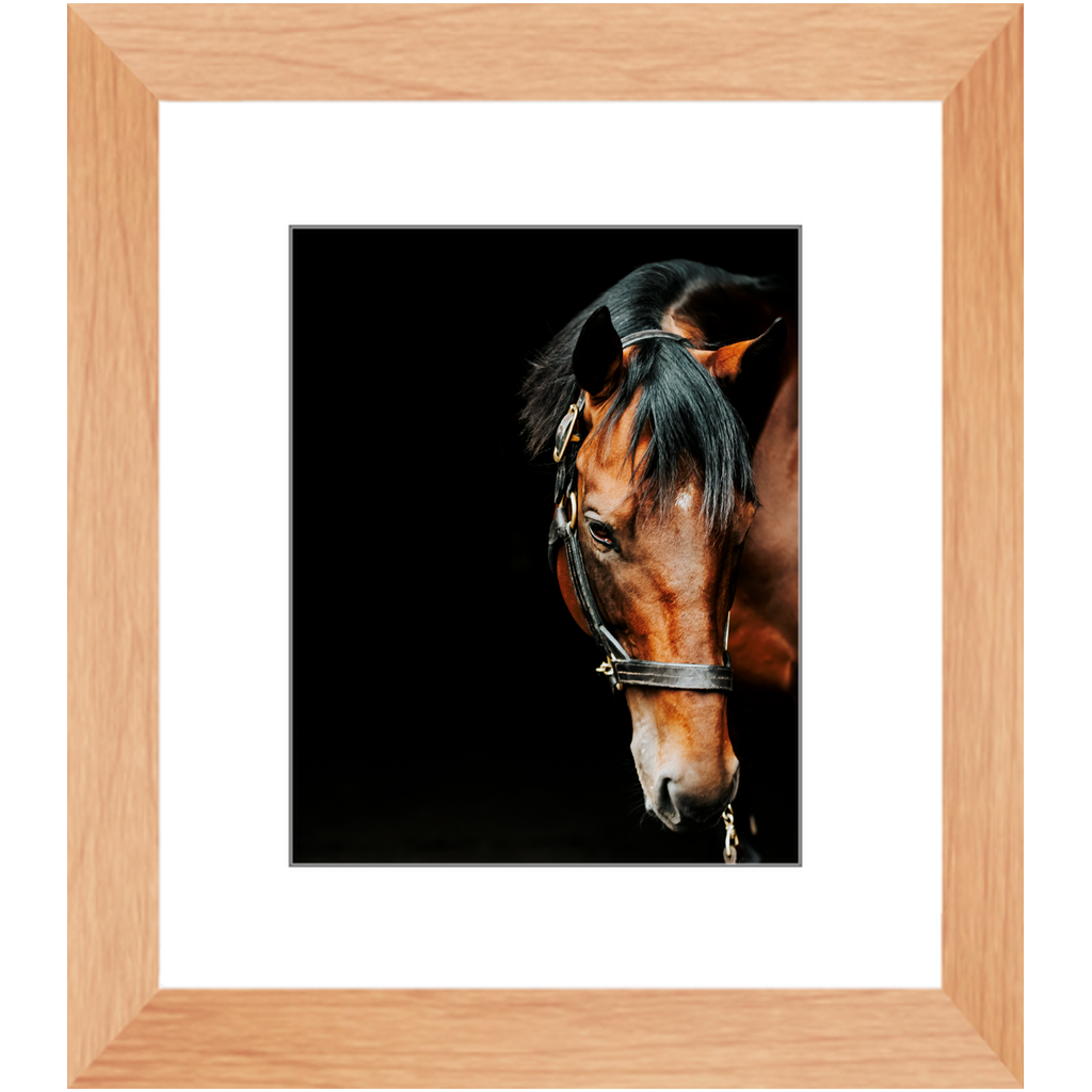 American Pharoah Series 6, Framed Print