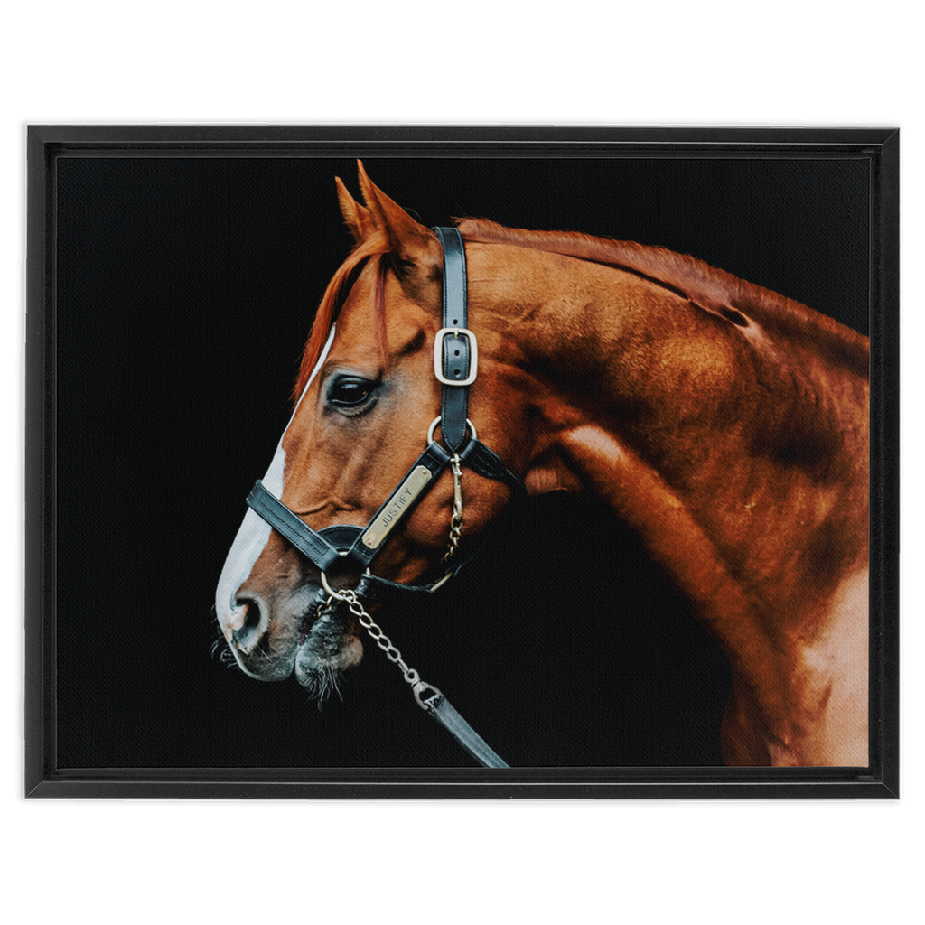 Justify Series 3, Framed Canvas