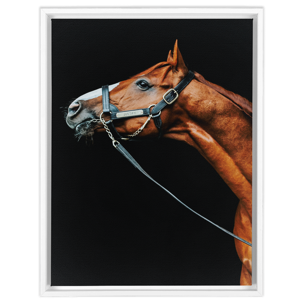 Justify Series 4, Framed Canvas