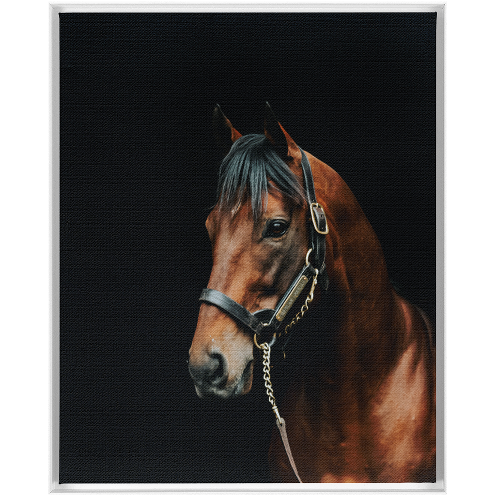 American Pharoah Series 2, Framed Canvas