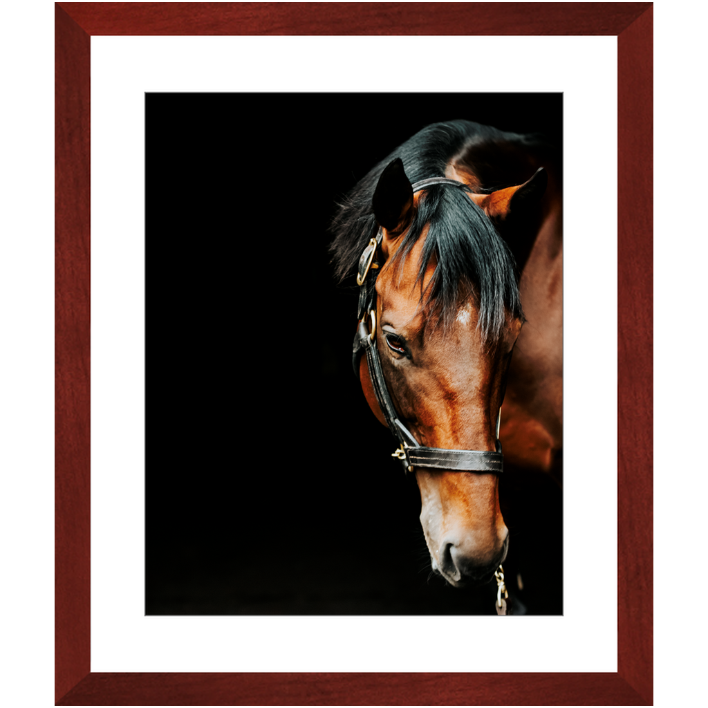 American Pharoah Series 6, Framed Print