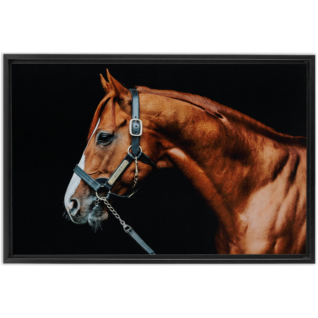 Justify Series 3, Framed Canvas