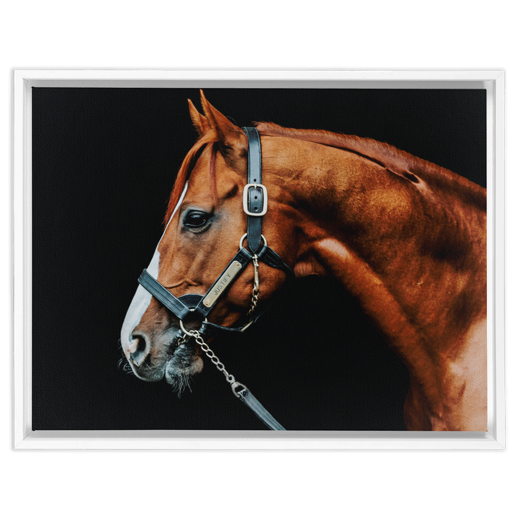 Justify Series 3, Framed Canvas