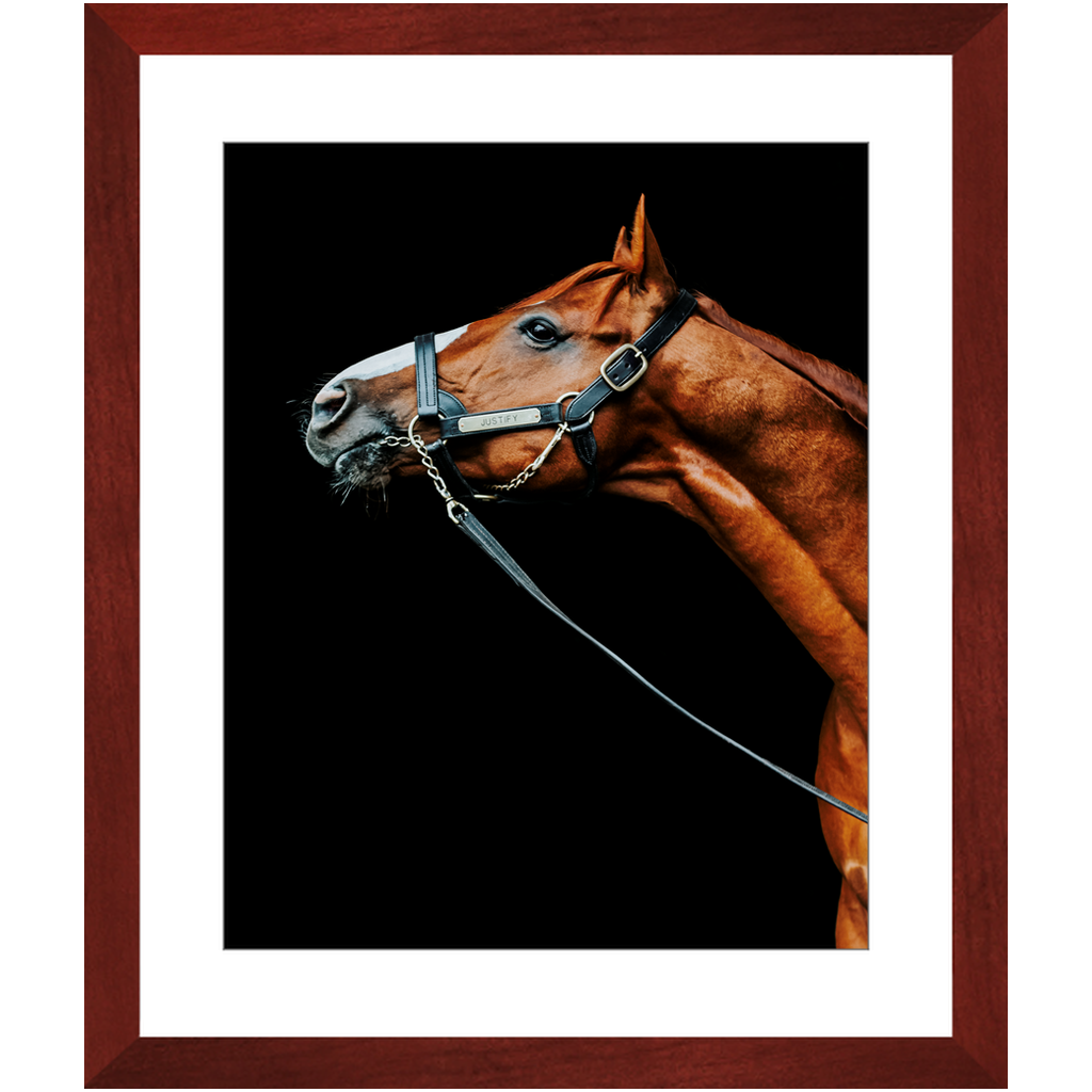 Justify Series 4, Framed Print