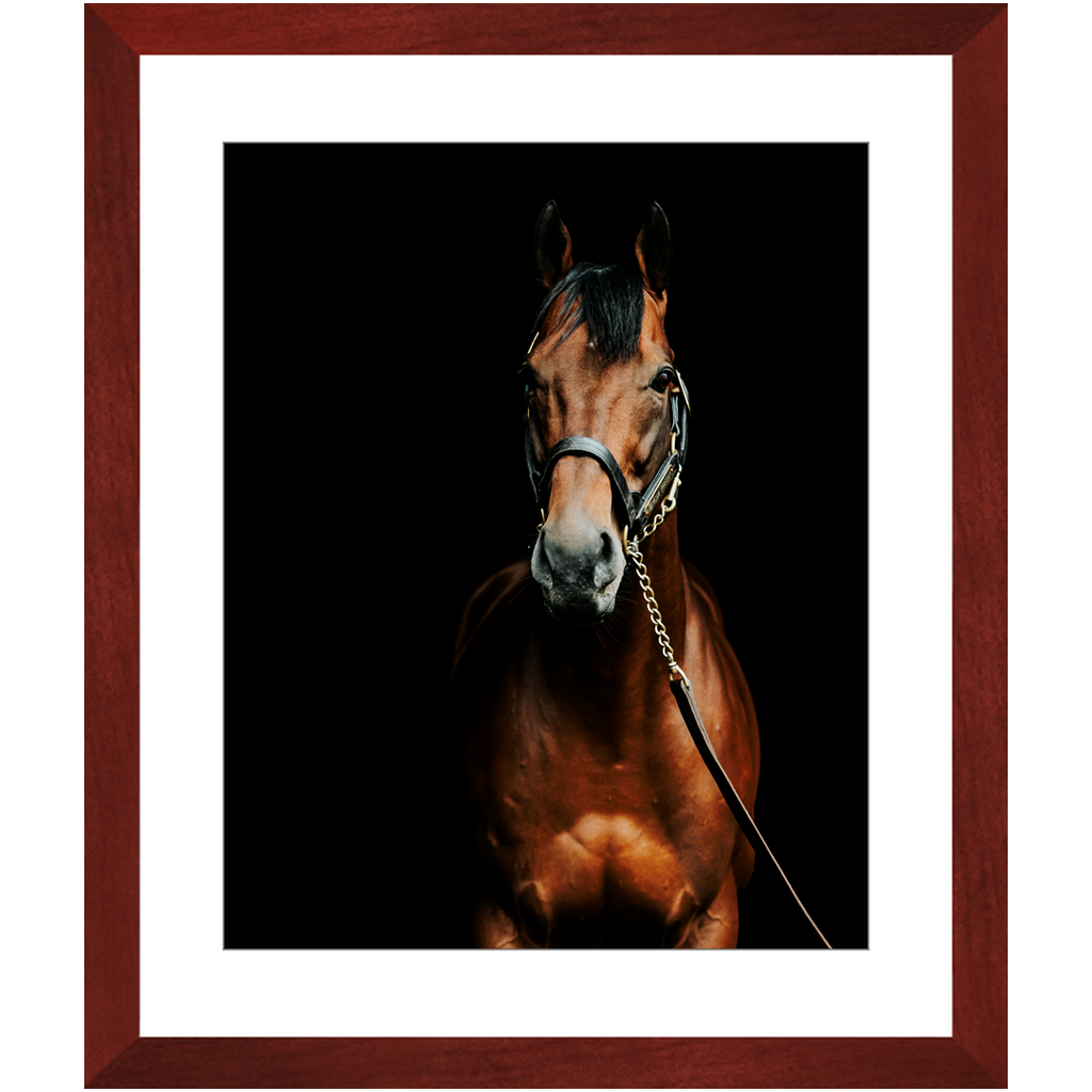 American Pharoah Series 4, Framed Print