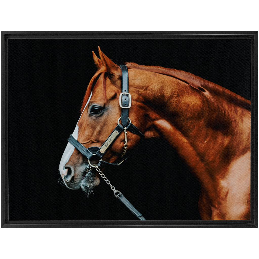 Justify Series 3, Framed Canvas