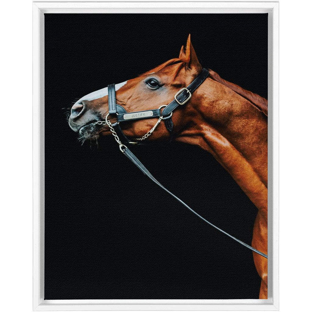 Justify Series 4, Framed Canvas