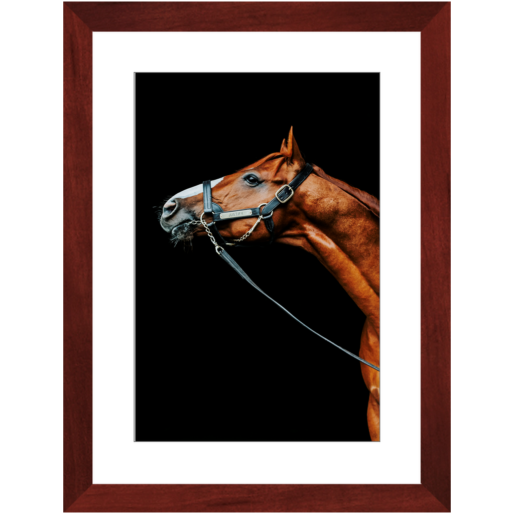 Justify Series 4, Framed Print