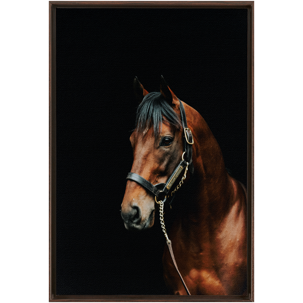 American Pharoah Series 2, Framed Canvas