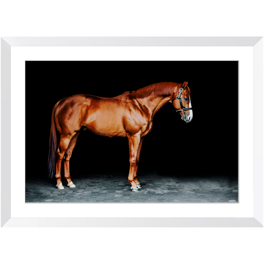 Justify Series 6, Framed Print