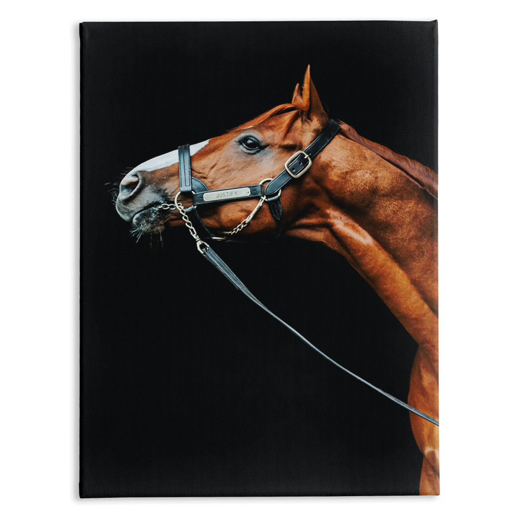 Justify Series 4, Stretched Canvas