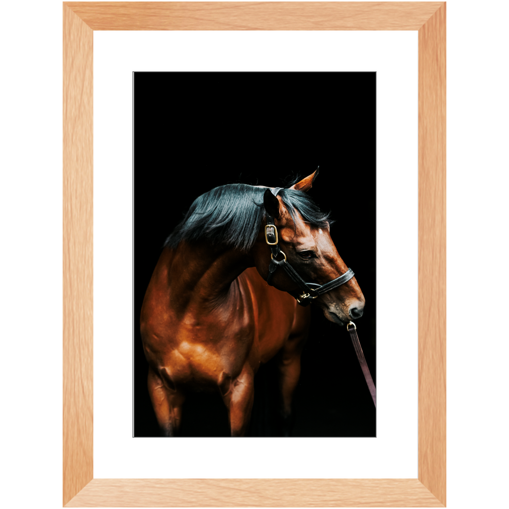 American Pharoah Series 3, Framed Print