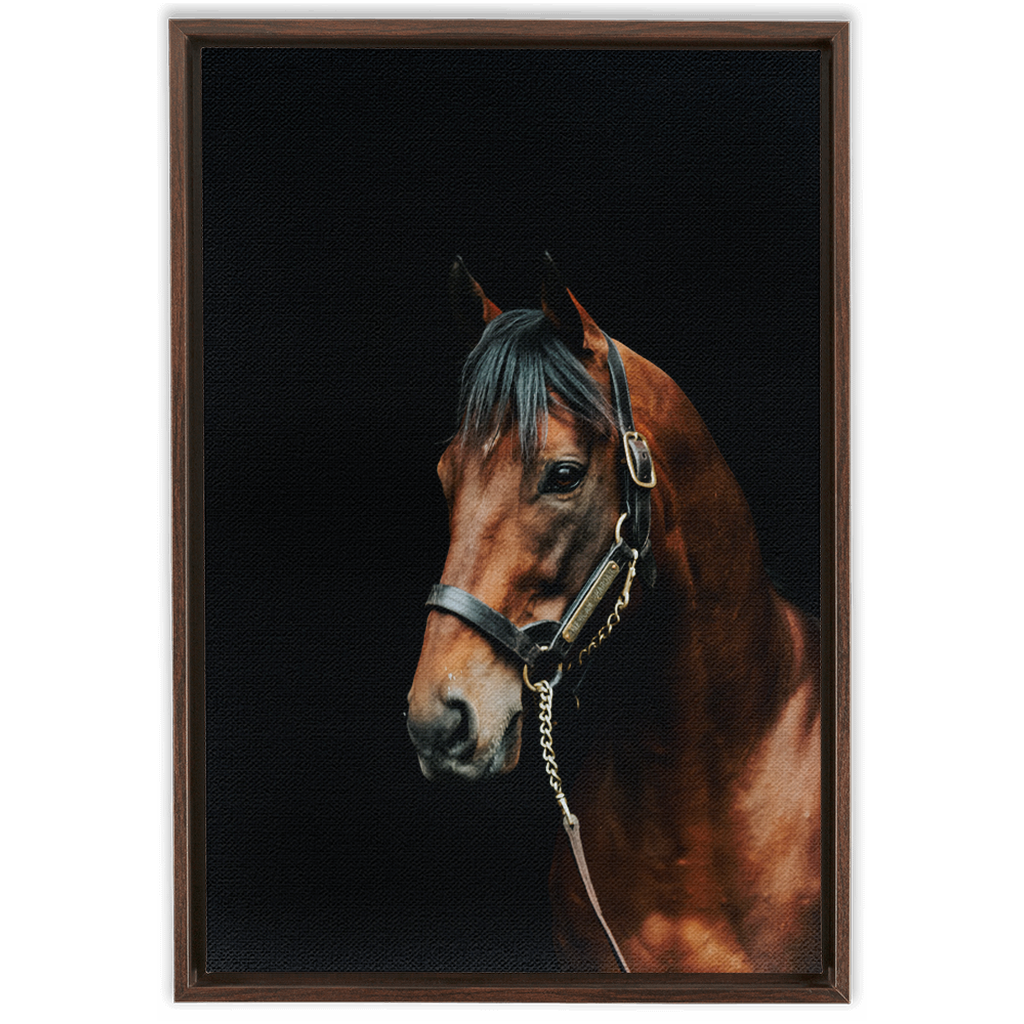 American Pharoah Series 2, Framed Canvas