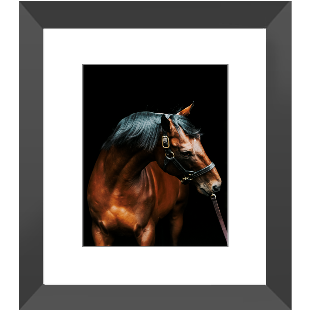 American Pharoah Series 3, Framed Print