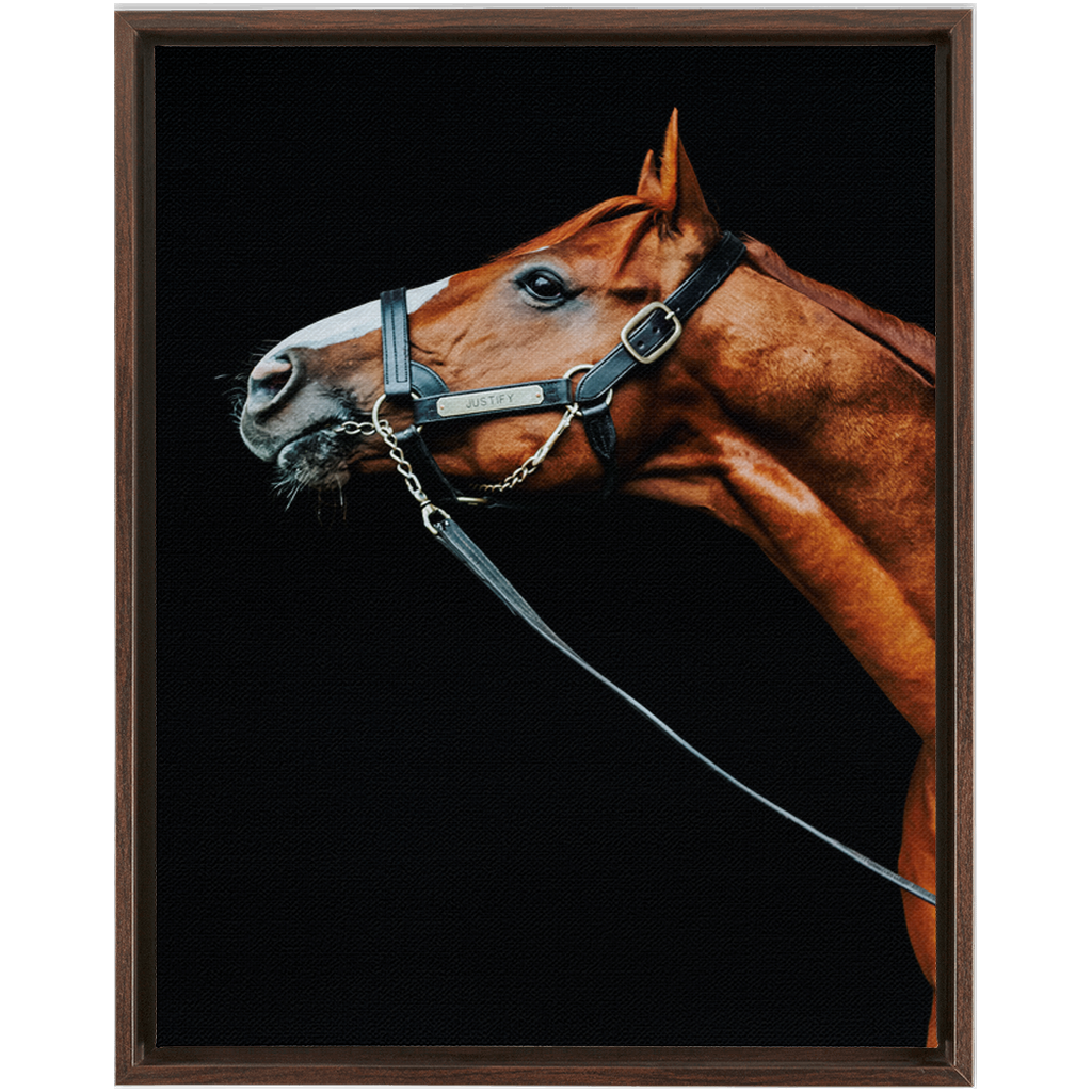 Justify Series 4, Framed Canvas