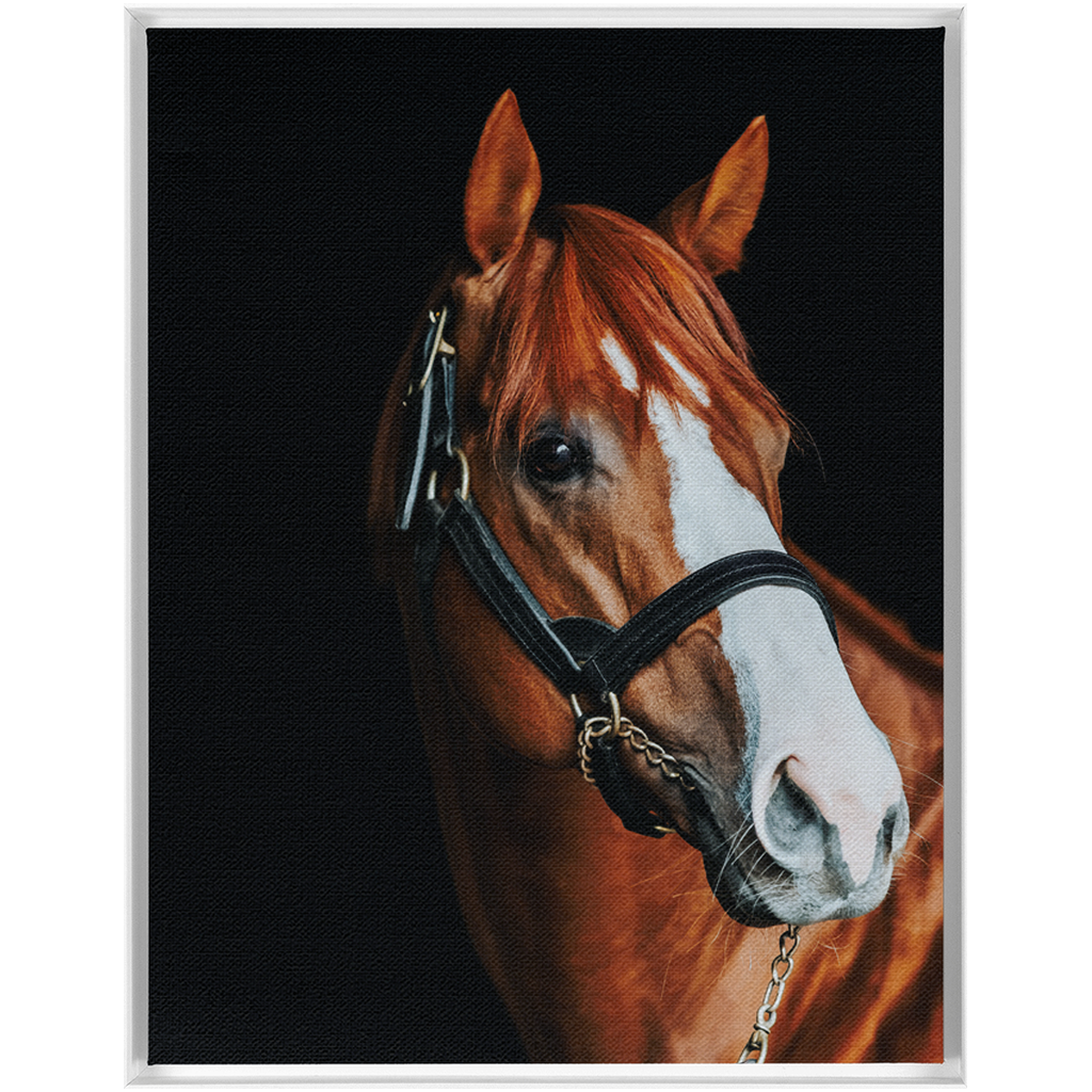 Justify Series 2, Framed Canvas