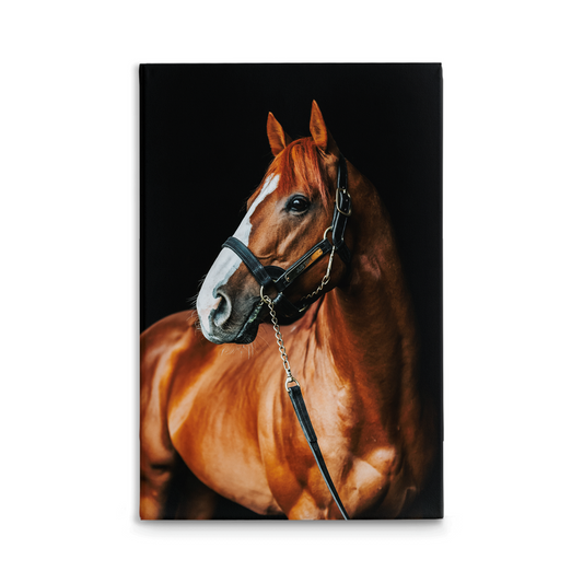 Justify Series 1, Stretched Canvas