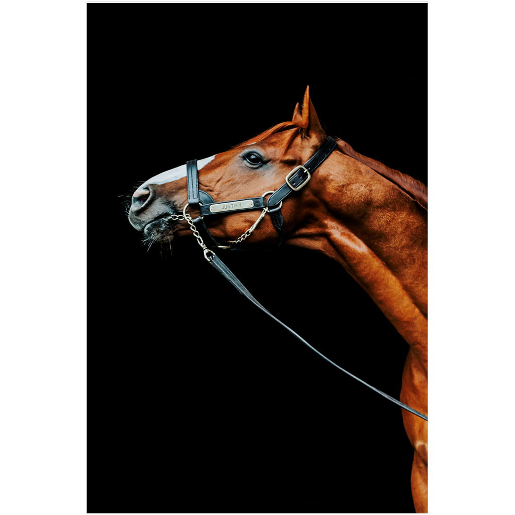 Justify Series 4, Print