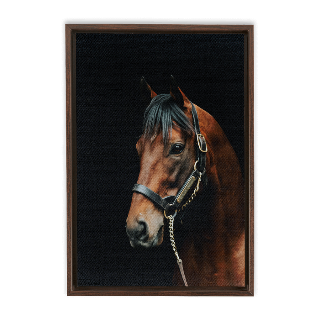 American Pharoah Series 2, Framed Canvas