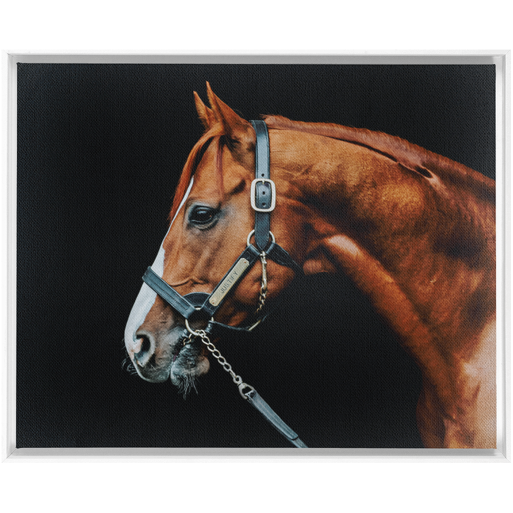 Justify Series 3, Framed Canvas