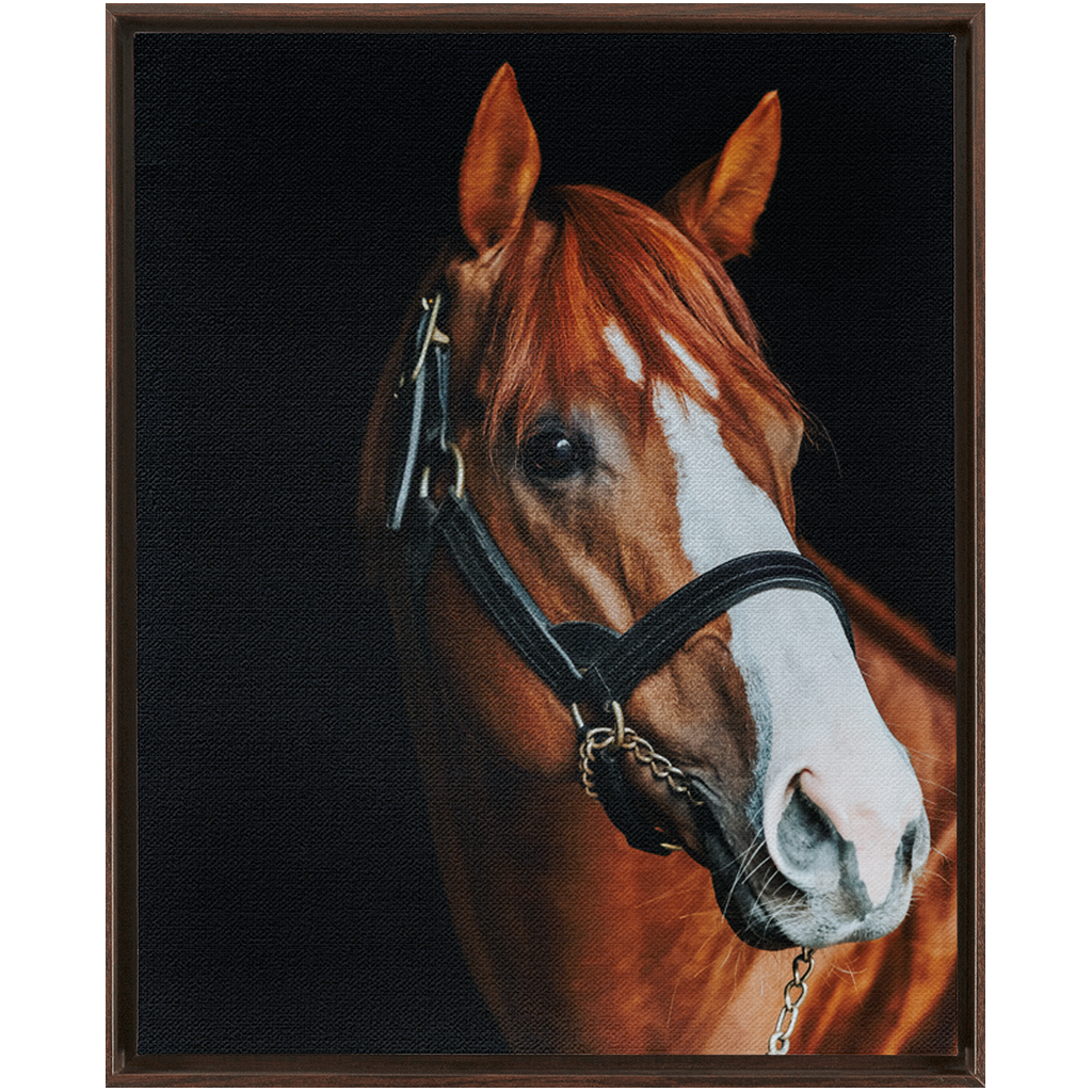 Justify Series 2, Framed Canvas