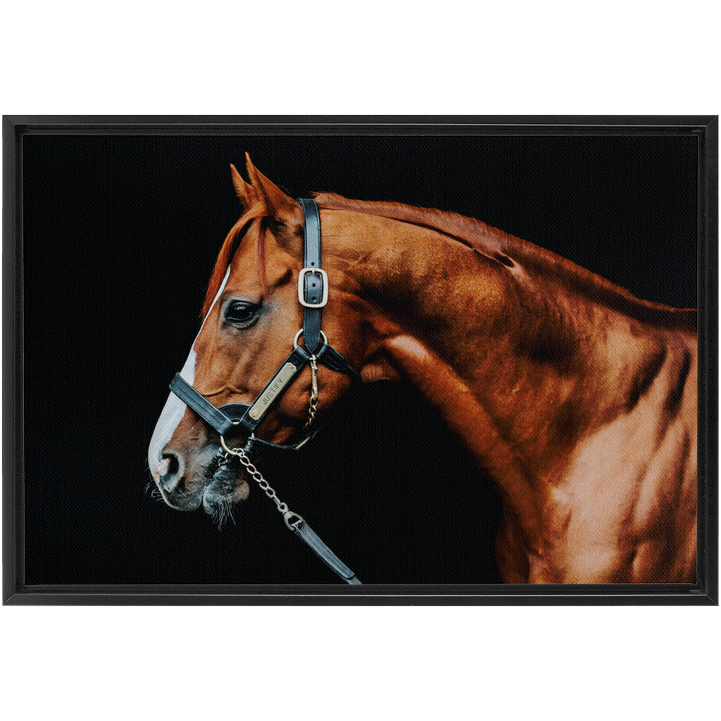 Justify Series 3, Framed Canvas